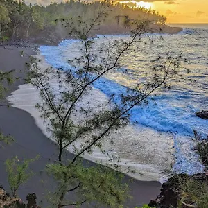 https://kehena-mauka-nui-club-lgbtqia-clothing-optional.hotelsinhawaii.org